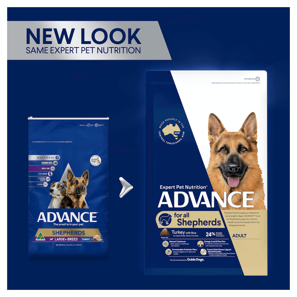 Buy Advance Shepherds Adult Dry Dog Food Turkey With Rice Online