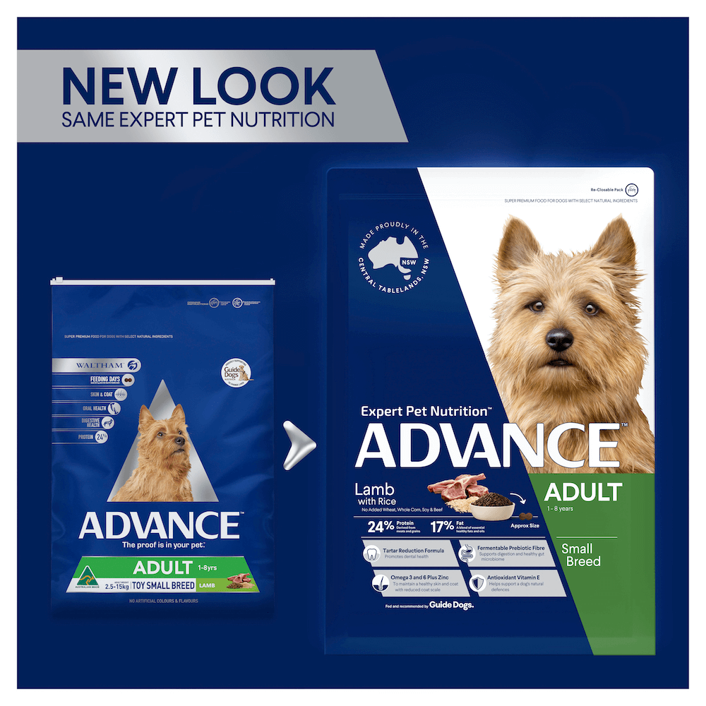 Buy Advance Small Adult Dry Dog Food Lamb With Rice Online Low Prices