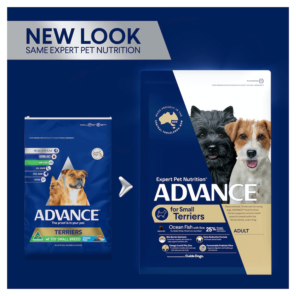 Buy Advance Small Terriers Adult Dry Dog Food Ocean Fish With Rice Online Better Prices At Pet