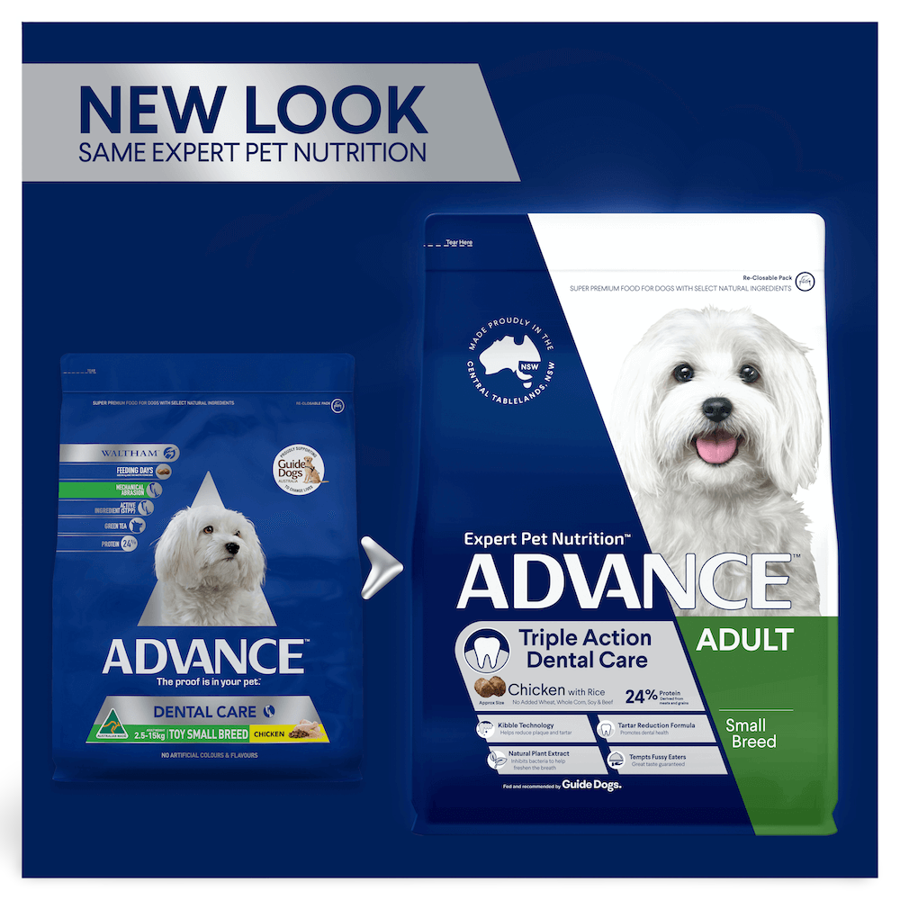 Buy Advance Triple Action Dental Care Small Adult Dry Dog Food Chicken