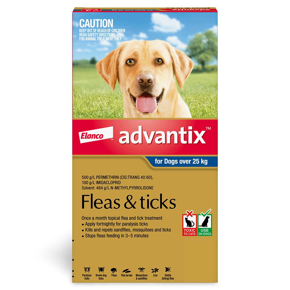 advantix extra large dog