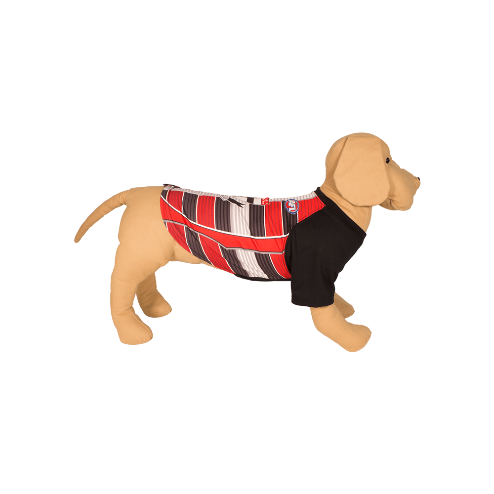 saints dog clothes