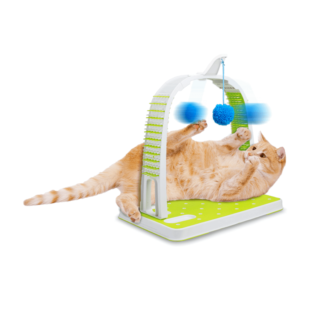 Buy Afp Cat Grooming Arch Online Better Prices At Pet Circle