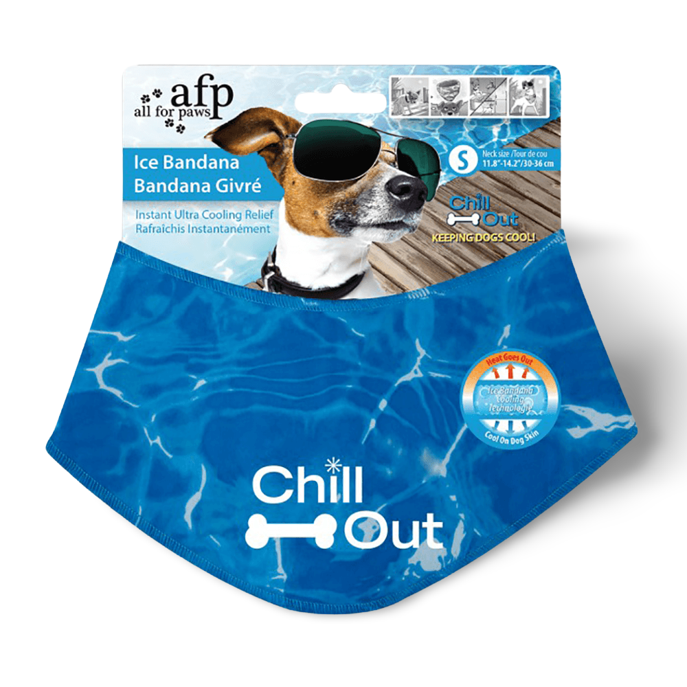 can dogs chew on pork bones