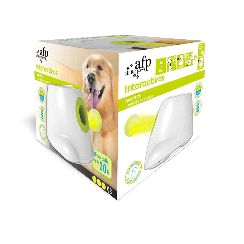 Afp Interactive 2025