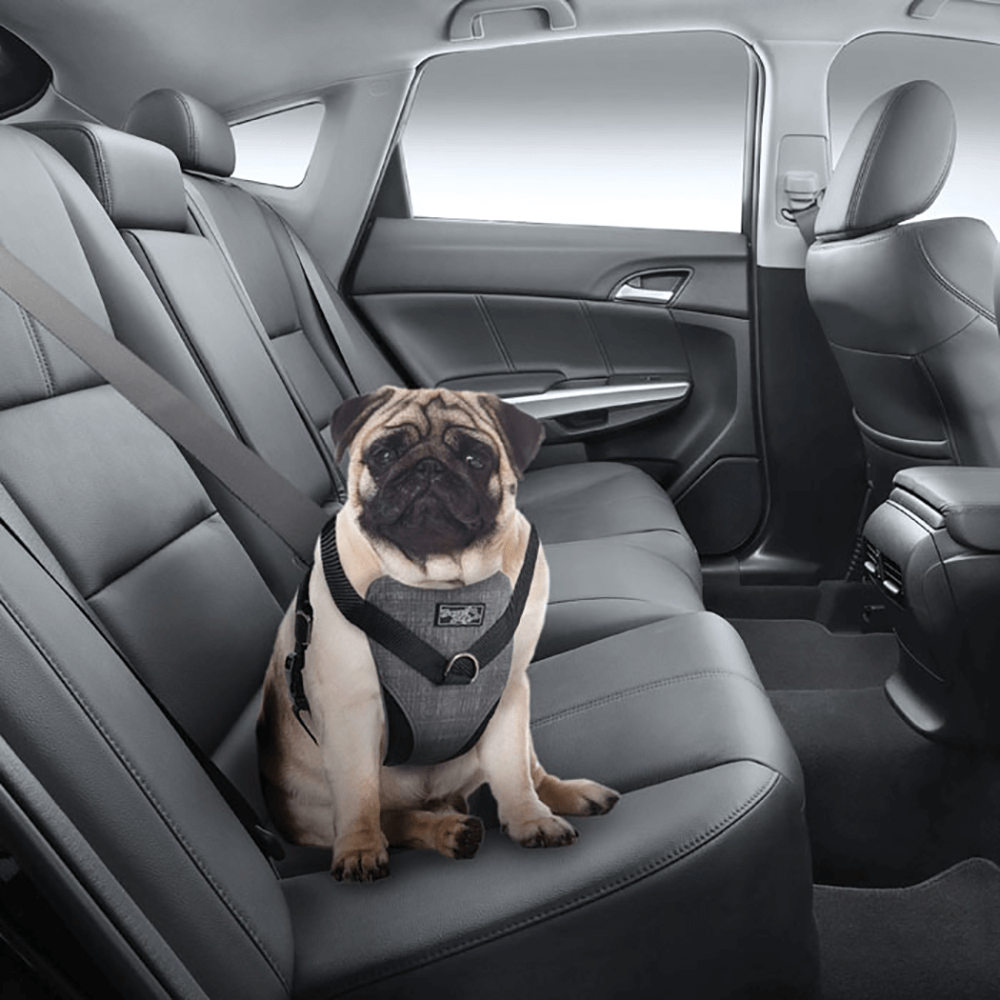 Afp travel dog harness Outlet