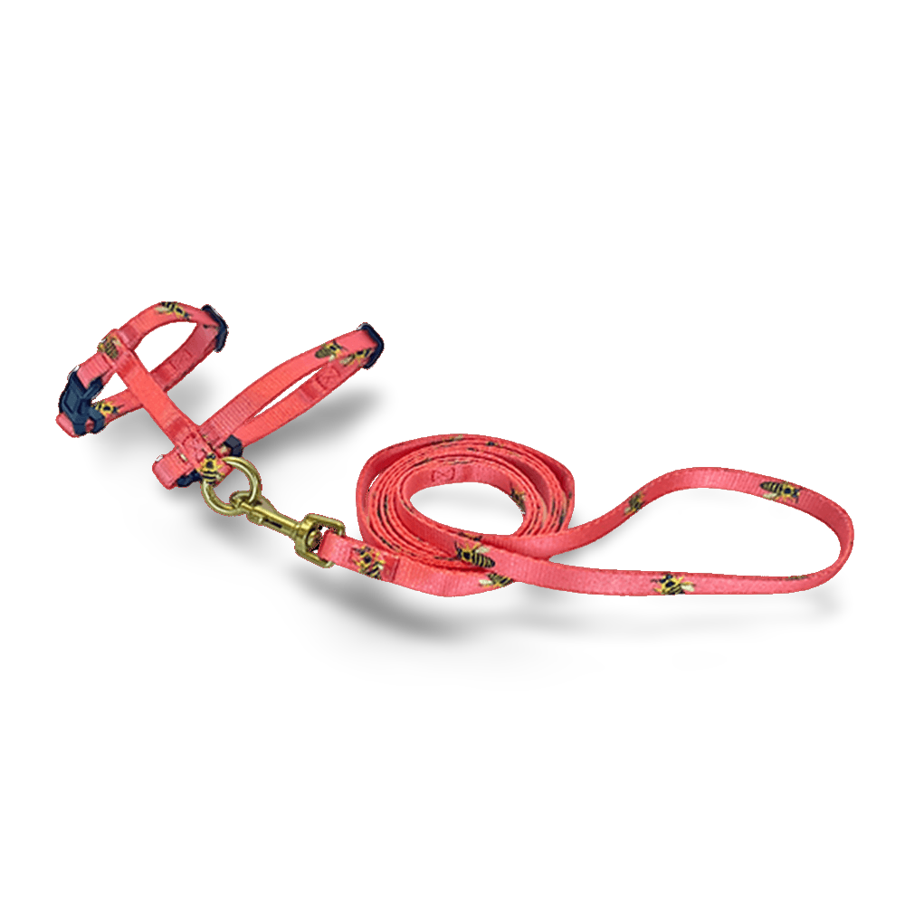 Anipal
                                    Bertie the Bee Harness and Lead