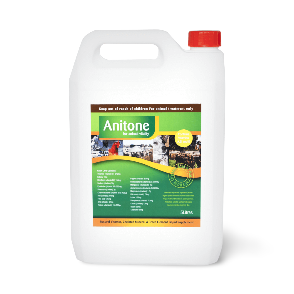 liquid folic acid for dogs