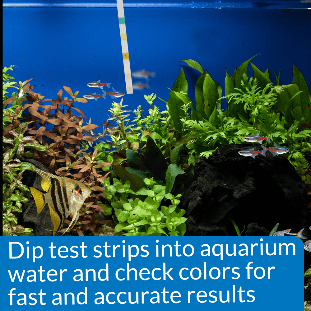 Buy Api 5 In 1 Freshwater And Saltwater Aquarium Test Strips Online