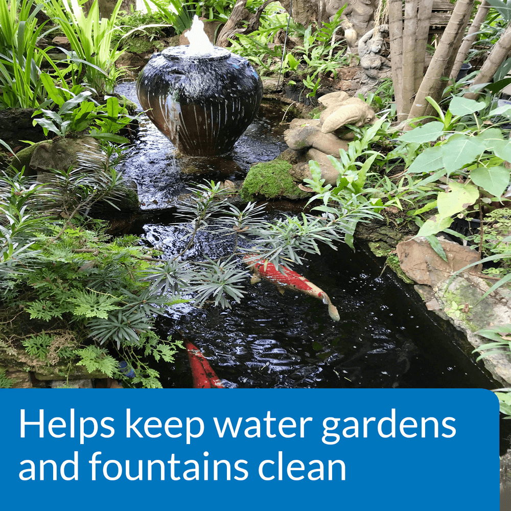 Buy Api Pond Algaefix Algae Control Solution Online Low Prices, Free