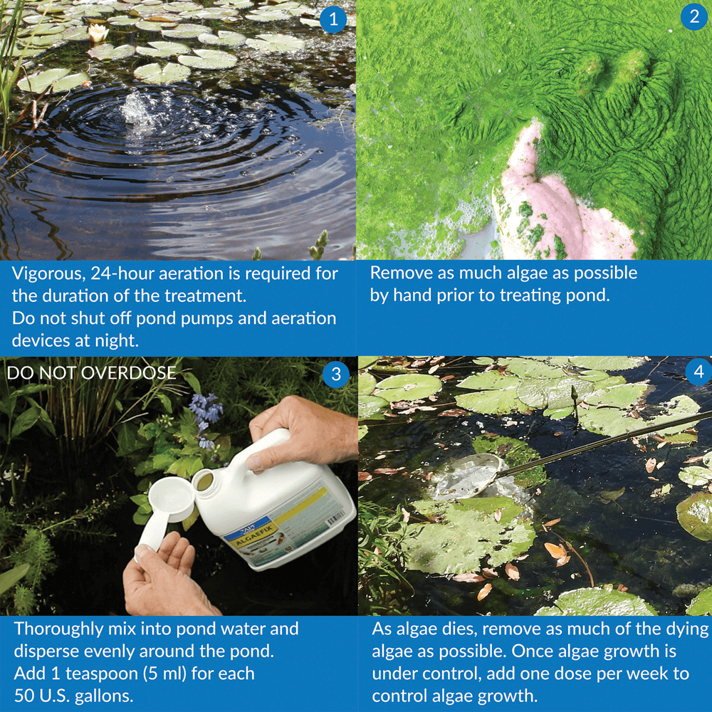 Buy Api Pond Algaefix Algae Control Solution Online Better Prices At