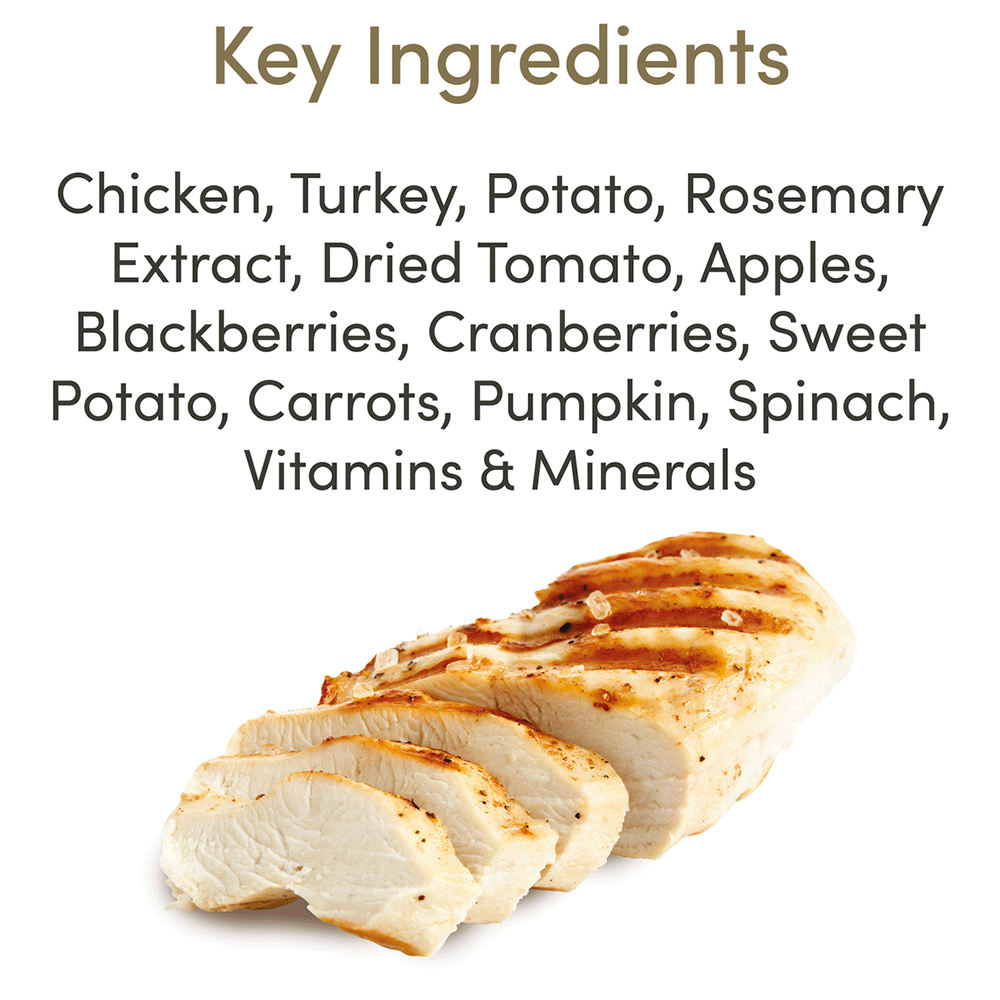 Buy Applaws Grain Free Chicken And Turkey Adult Dry Dog Food Online Low Prices Free Shipping