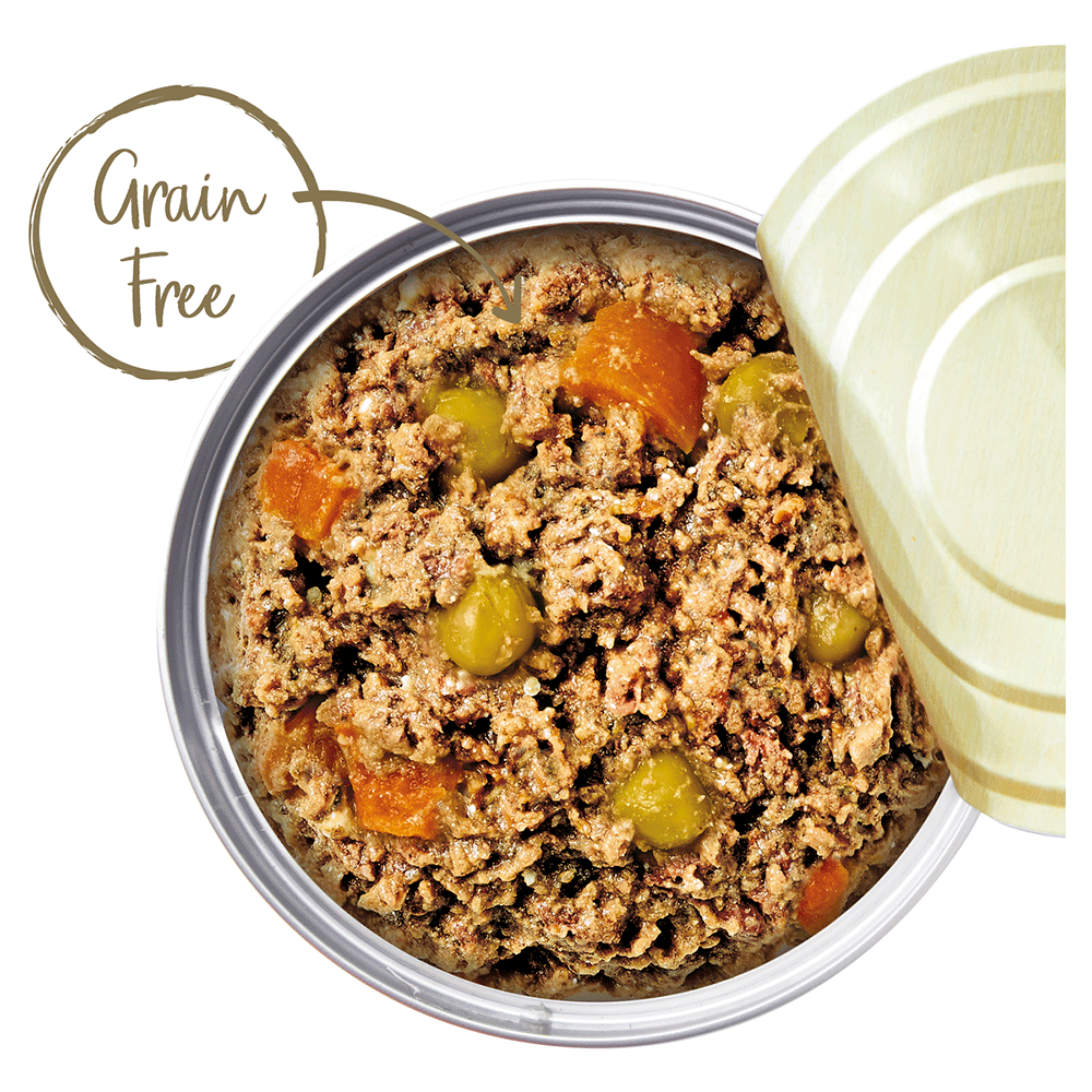 covered litter box with filter