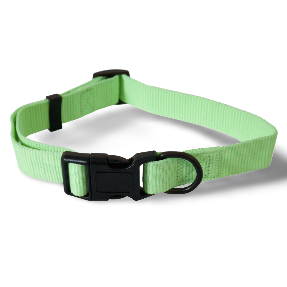 dark green dog collar