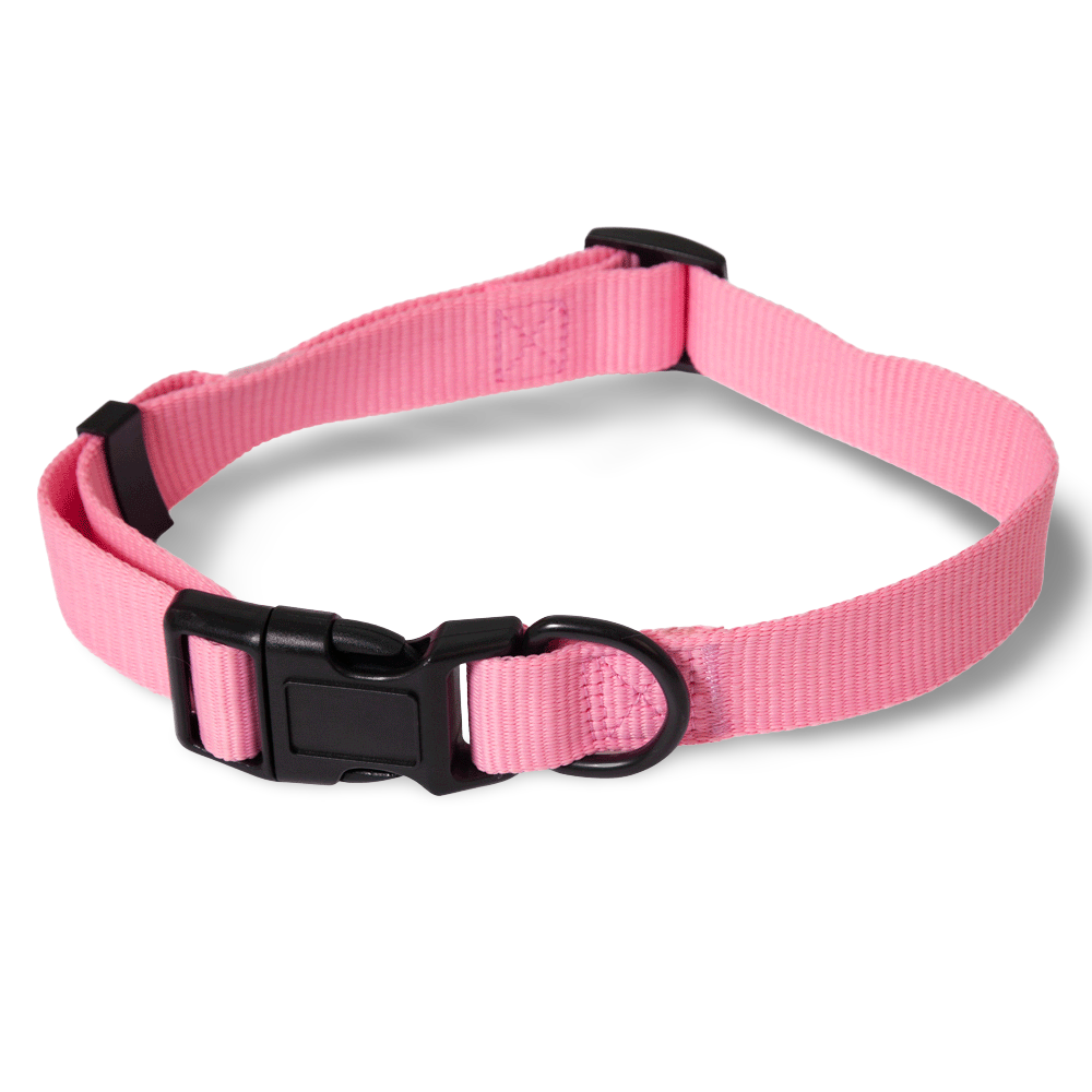 light pink collar