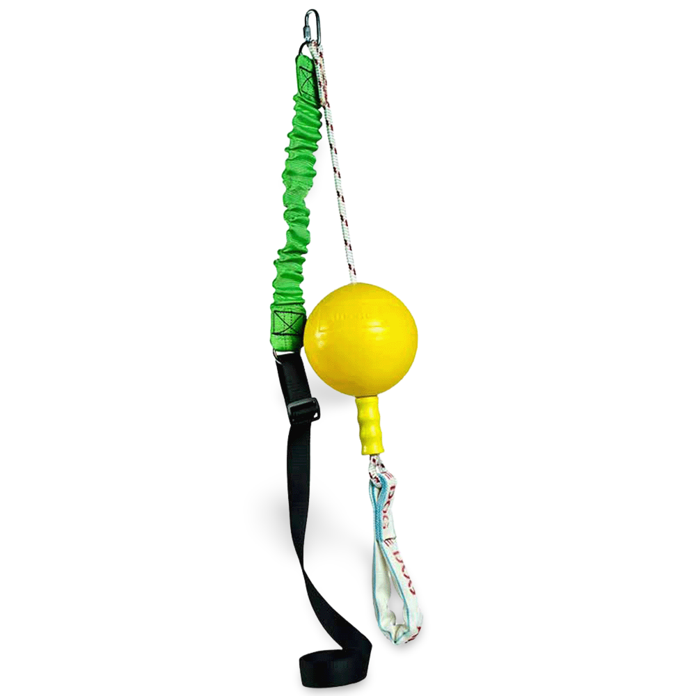 petstages bully chew