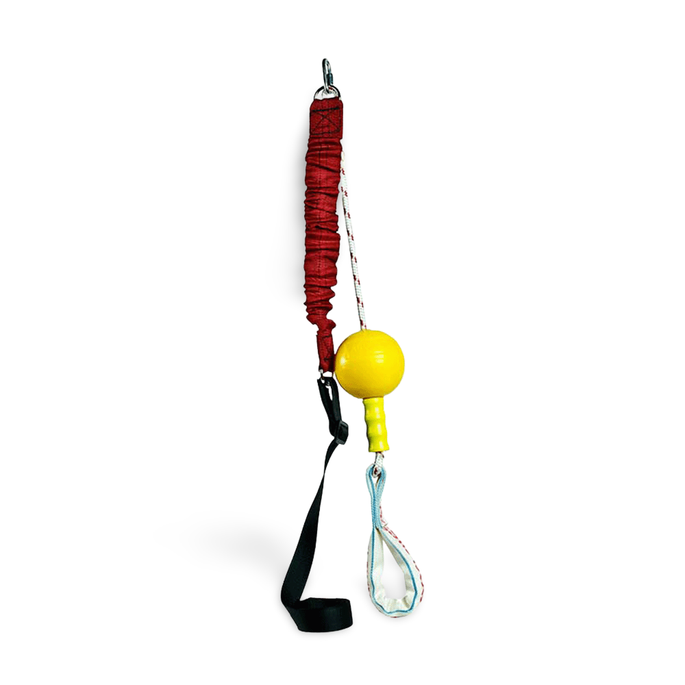 aussie dog home alone large