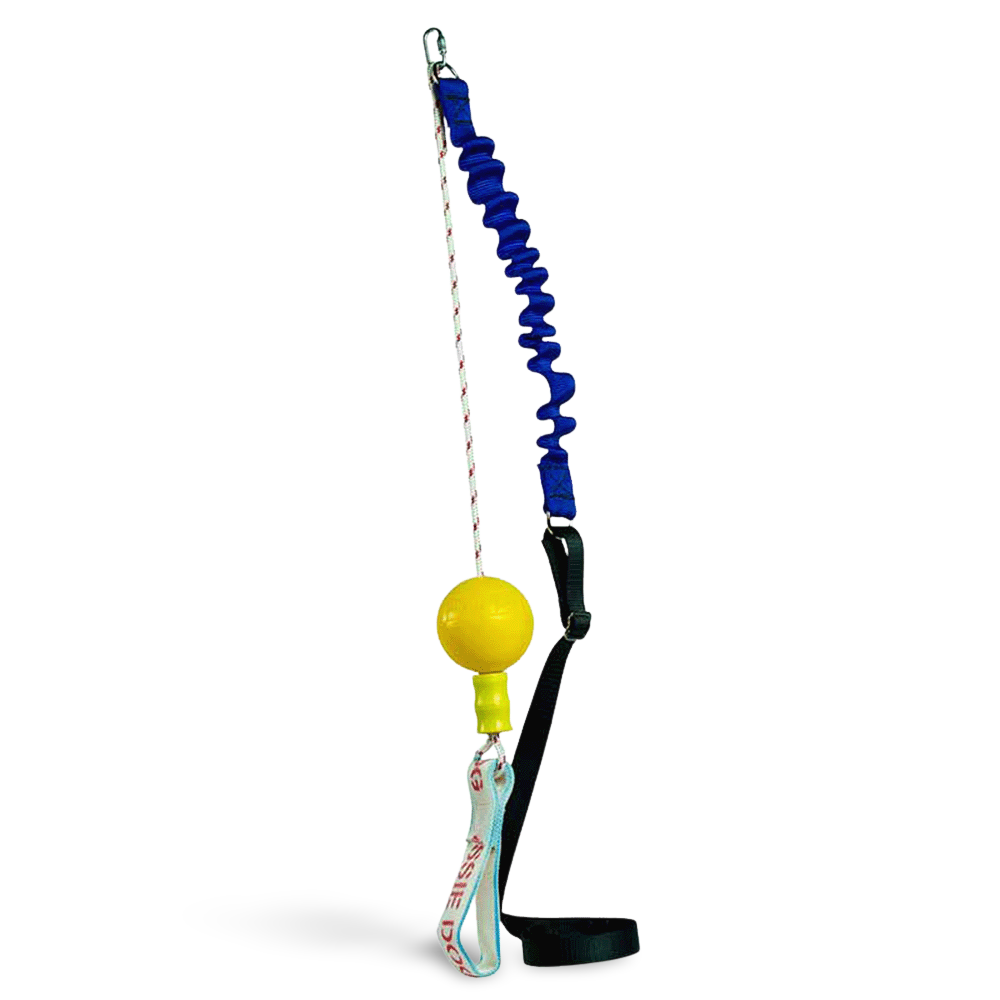 aussie dog home alone medium