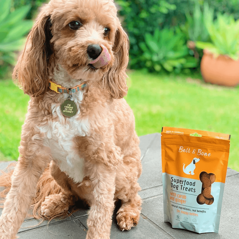 Buy Bell And Bone Carob And Ginger Superfood Dog Treats Online Better