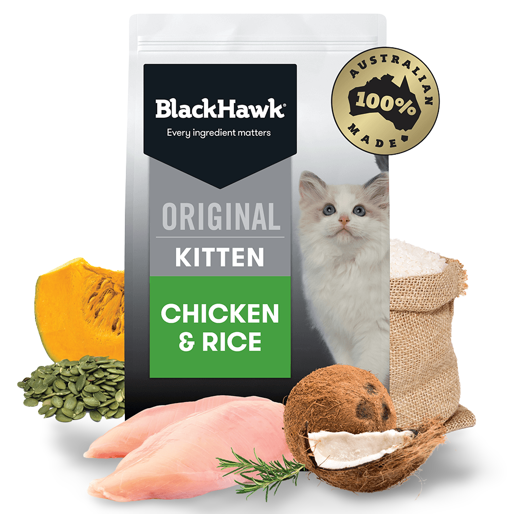 Buy Black Hawk Chicken And Rice Kitten Dry Food Online Better Prices At Pet Circle Buy Black Hawk Chicken And Rice Kitten Dry Food Online Better Prices At Pet Circle