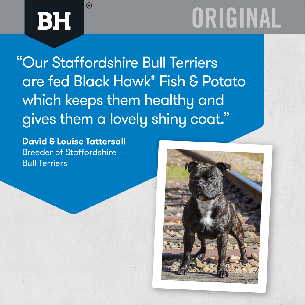 Buy Black Hawk Dry Dog Food Adult Fish And Potato Online Better