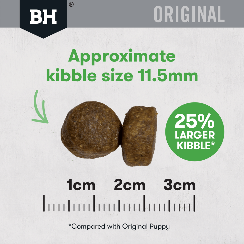 black hawk large breed