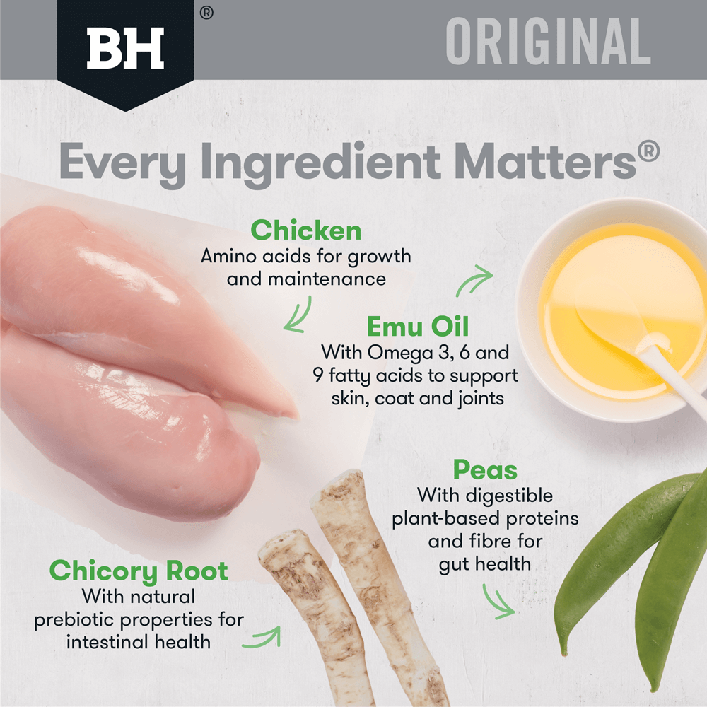 black hawk large breed