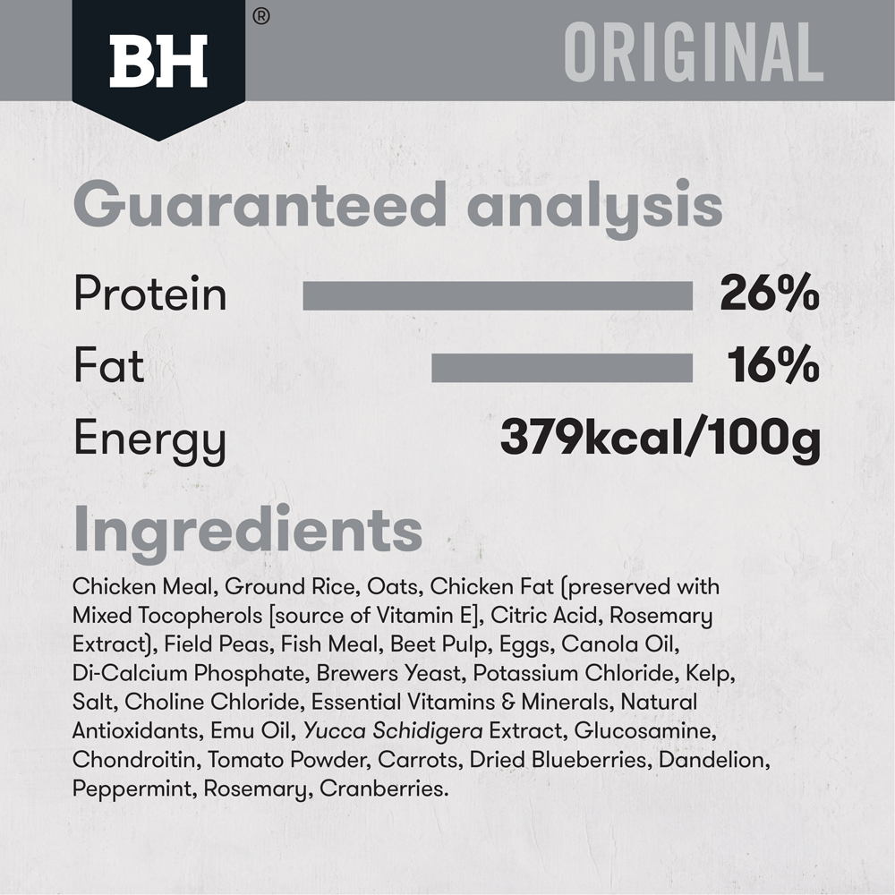 black hawk large breed chicken puppy