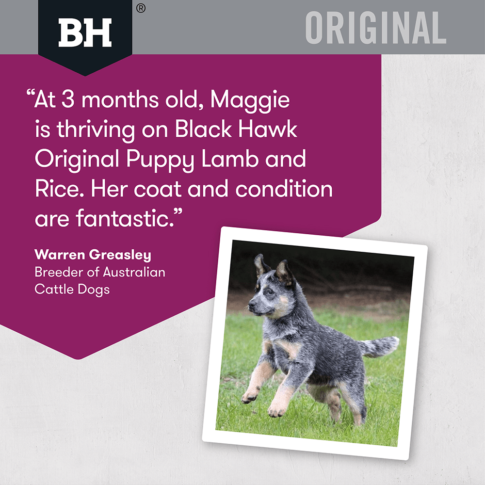 black hawk lamb rice 20kg