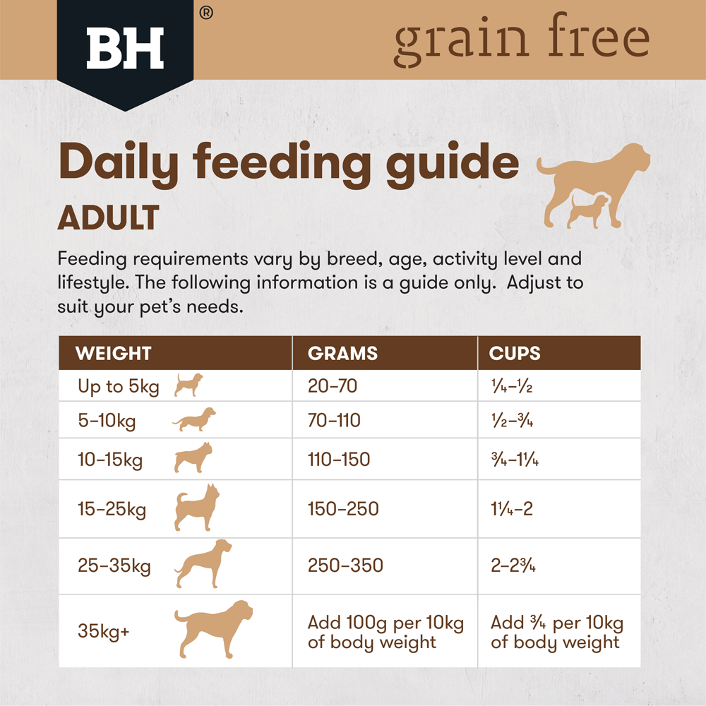 Buy Black Hawk Grain Free Dry Dog Food Adult Kangaroo Online Better