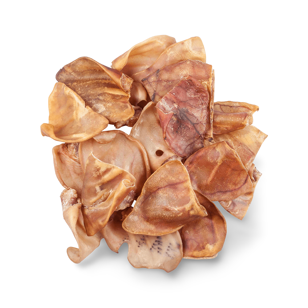 Buy Blackdog Pigs Ears Online Better Prices At Pet Circle