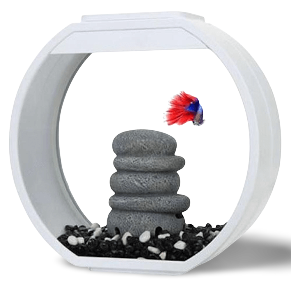 hamster harness petco