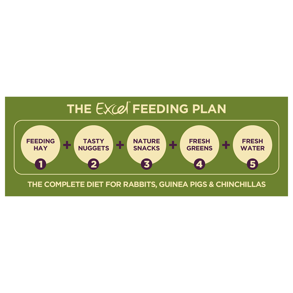 burgess excel junior