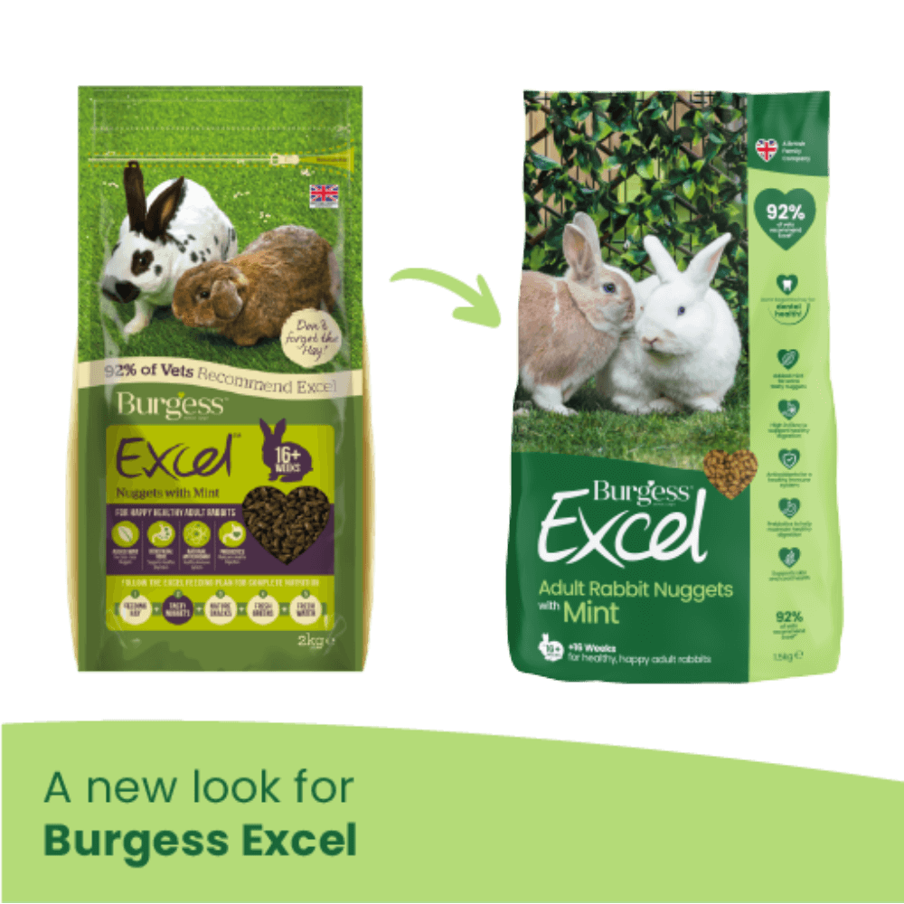 burgess excel mint