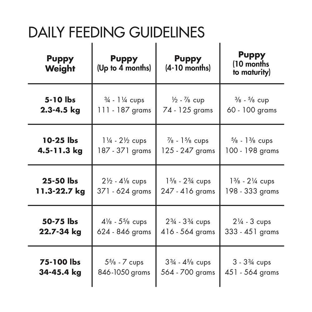 canidae pure foundations