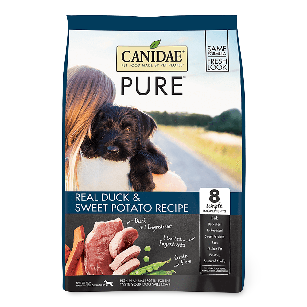 pictures of different types of pets