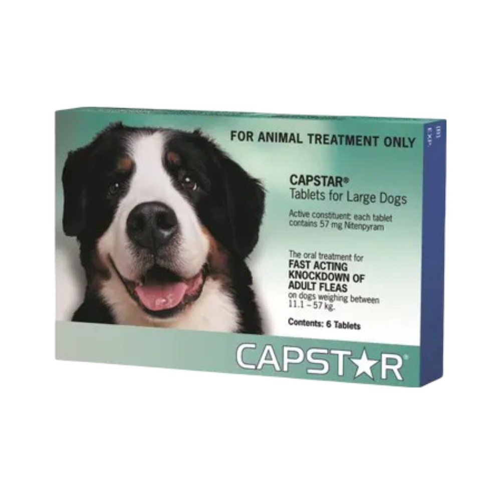 Buy Capstar Green Medium And Large Online Better Prices At Pet Circle