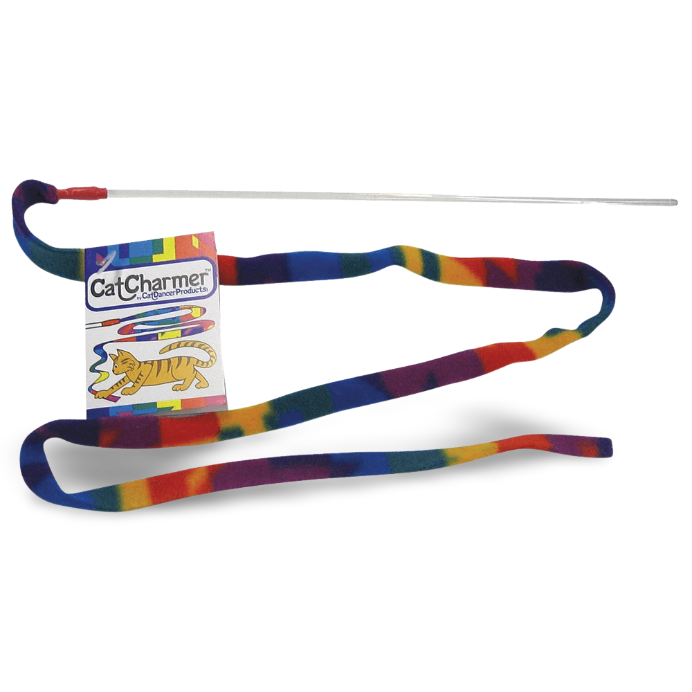 cat dancer cat charmer