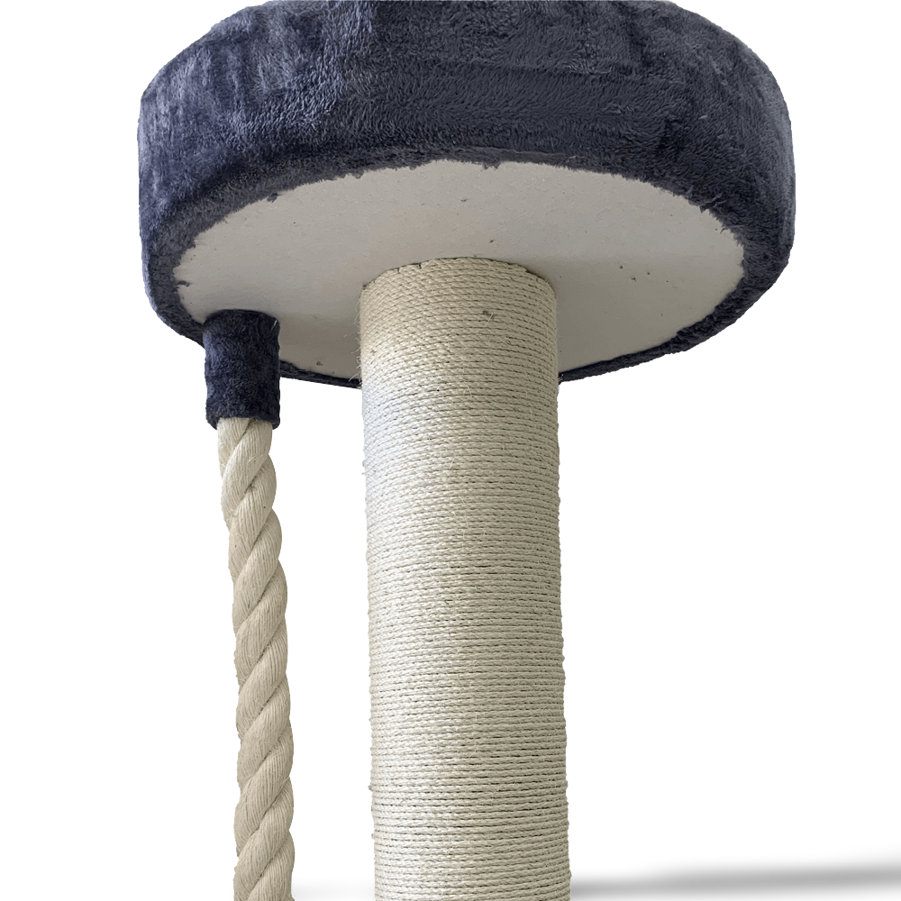 Buy Catio Cat Scratching Pole With Stand Regal Online Better Prices