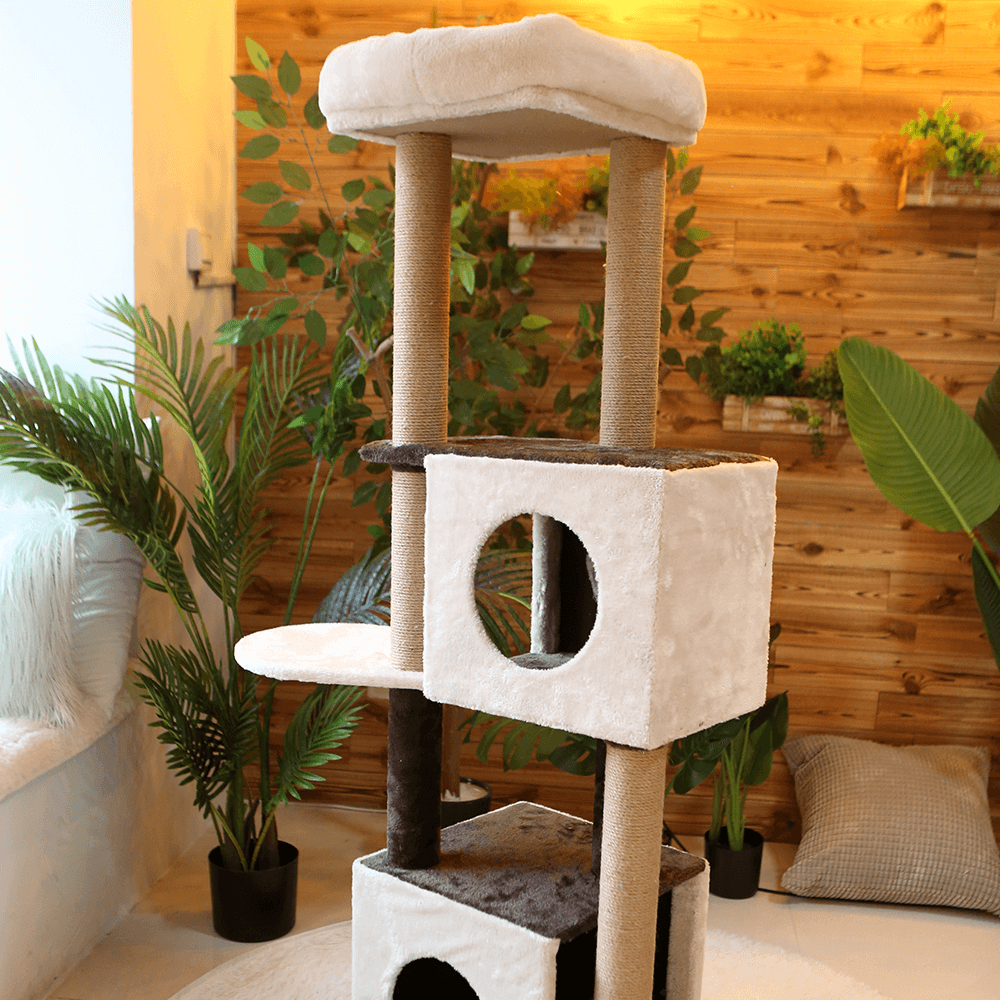 Buy Catio Cat Scratching Tree Deluxe Dual Condo Online Better Prices