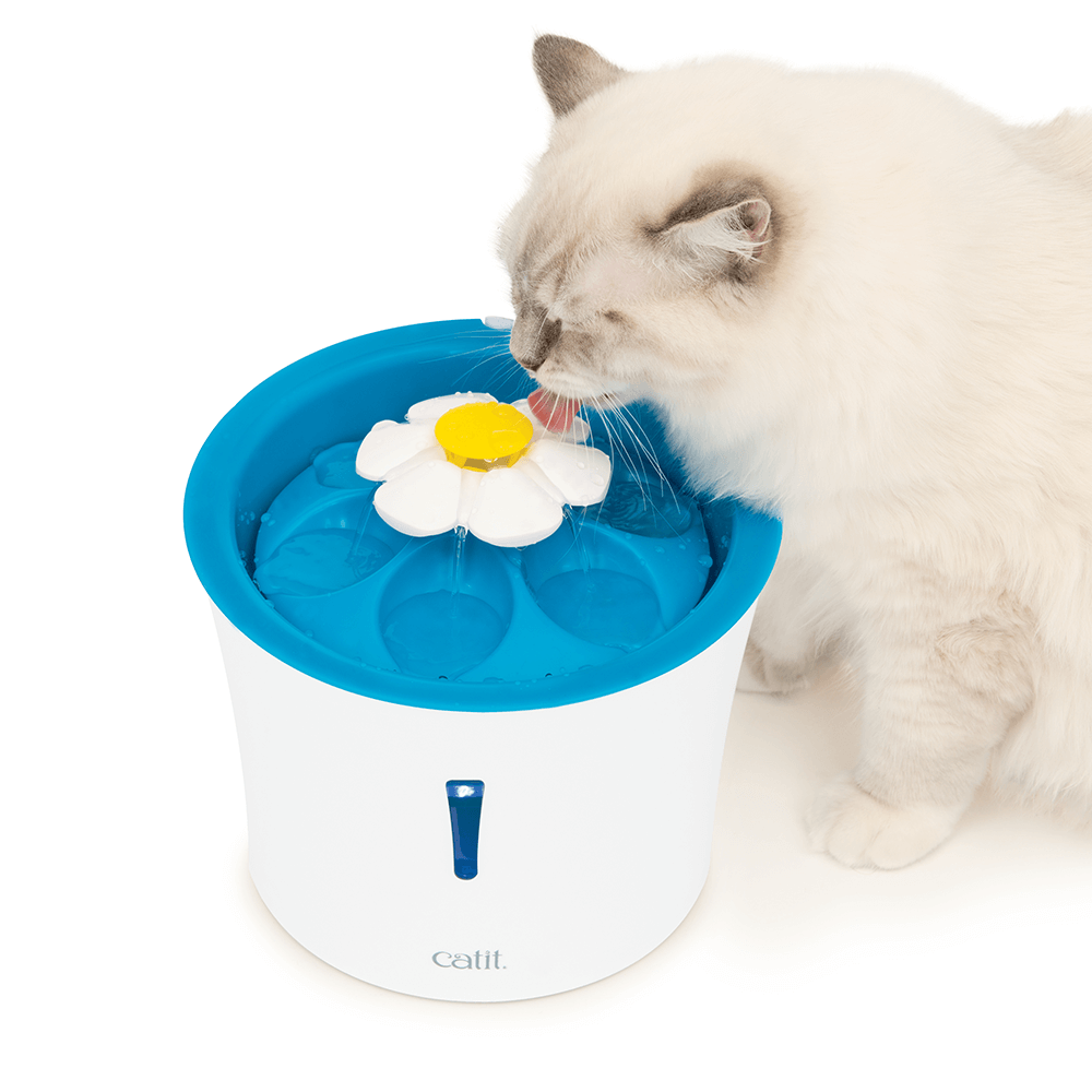 Buy Catit Flower Water Fountain With Led Light Online Better Prices At Pet Circle