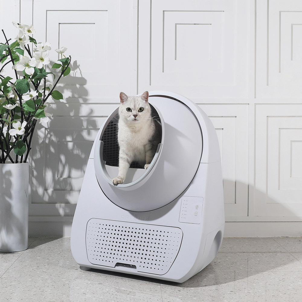 Buy Catlink Scooper Self Clean Smart Cat Litter Box Young Online