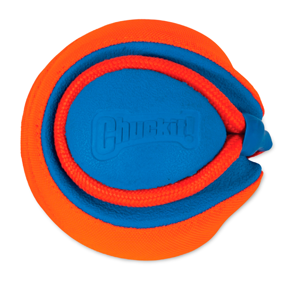 chuckit frisbee