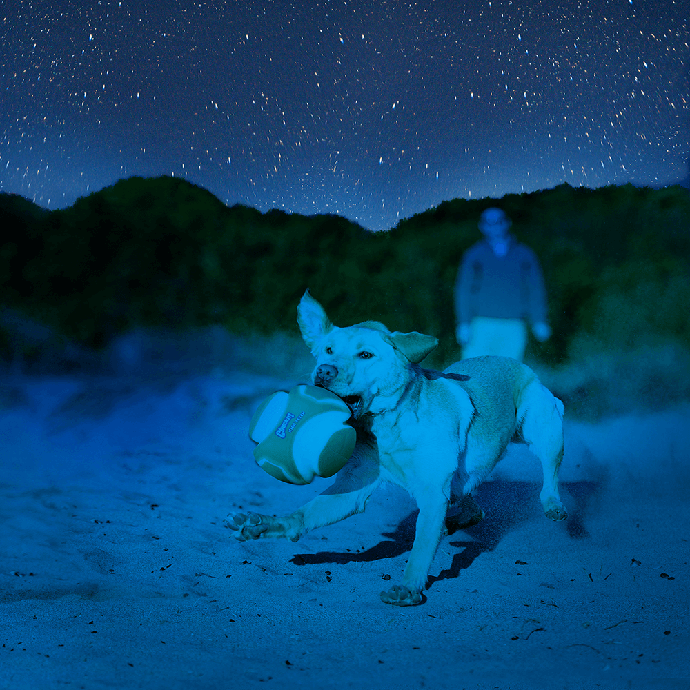 chuckit max glow large