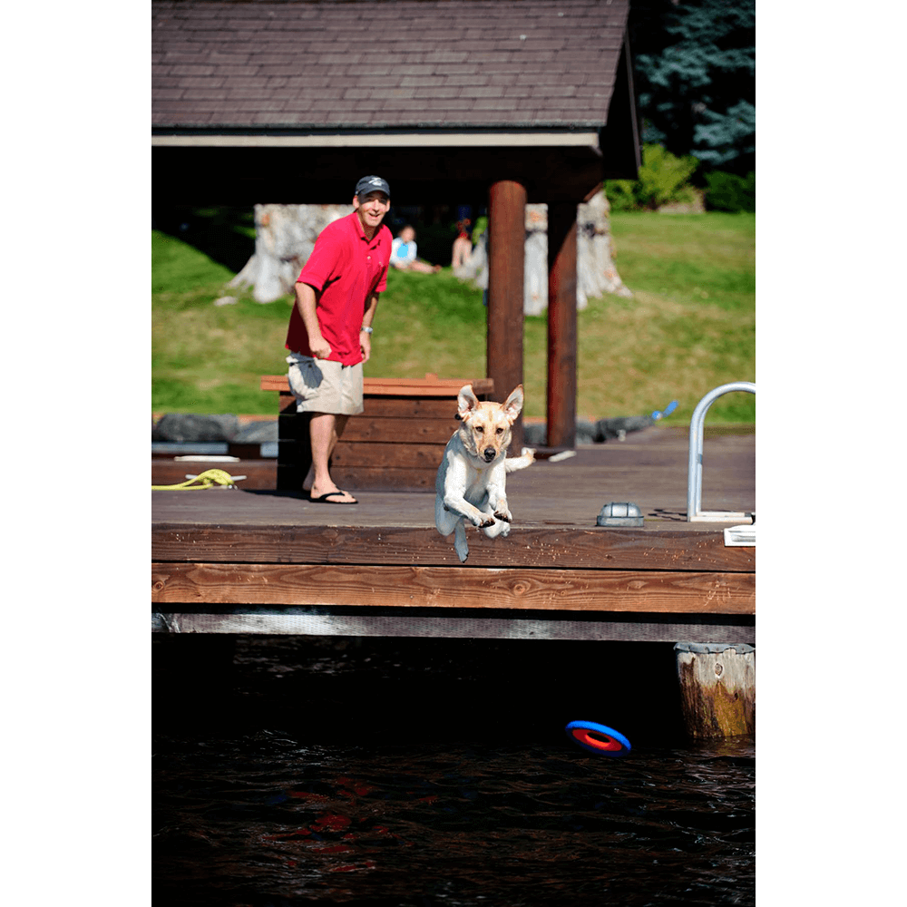 chuckit zipflight large