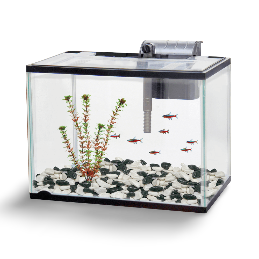 starter aquarium