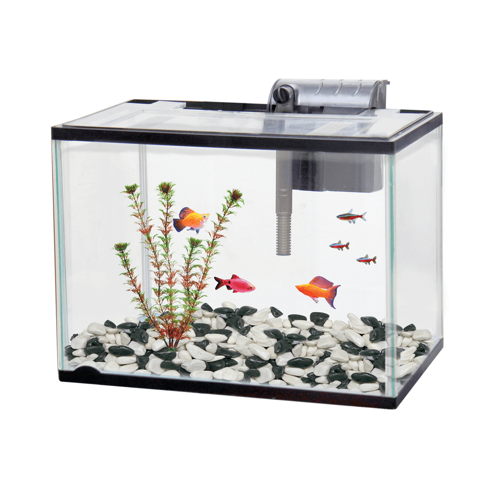 Buy Classica Aquarium Starter Kit Online Better Prices At Pet Circle