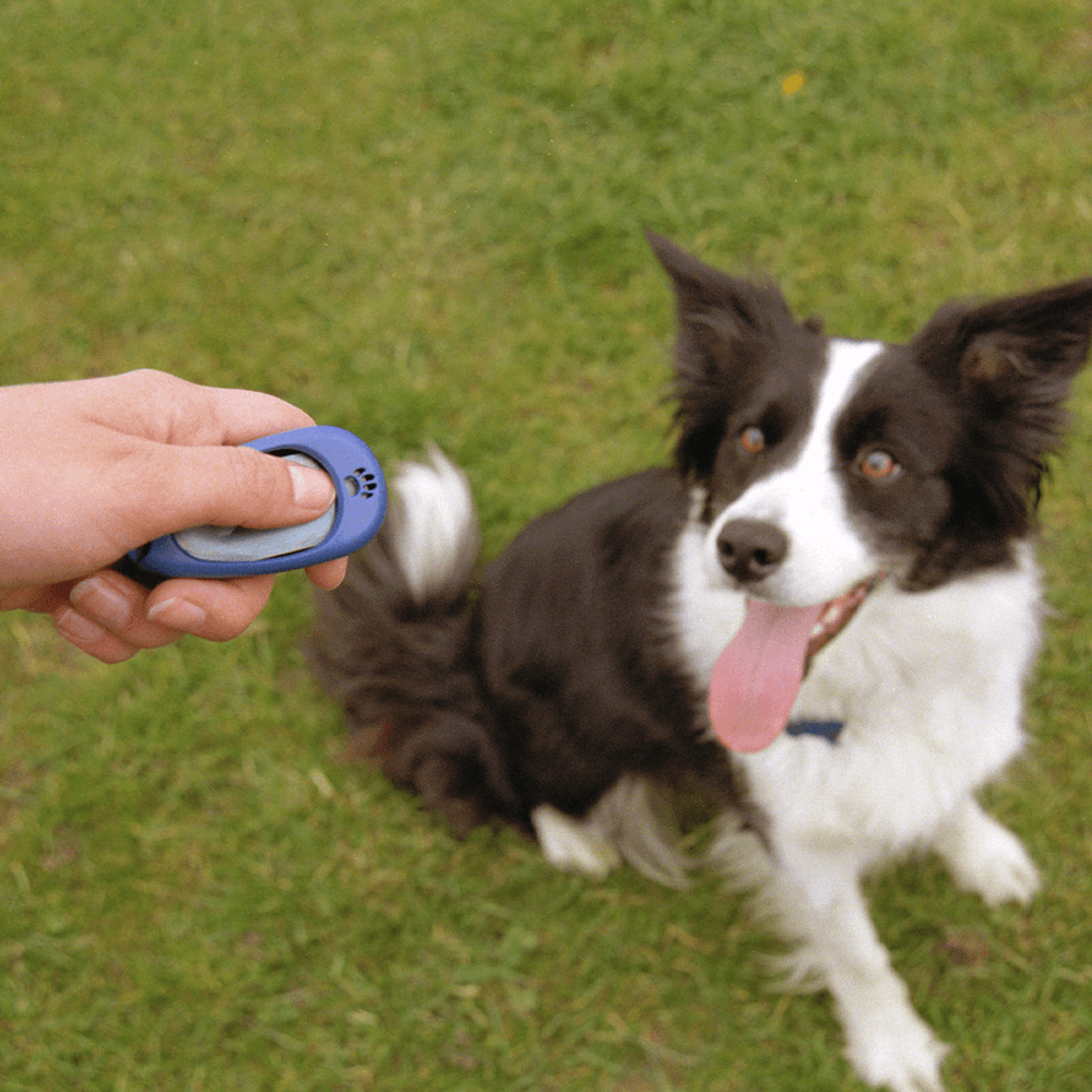 dog clicker
