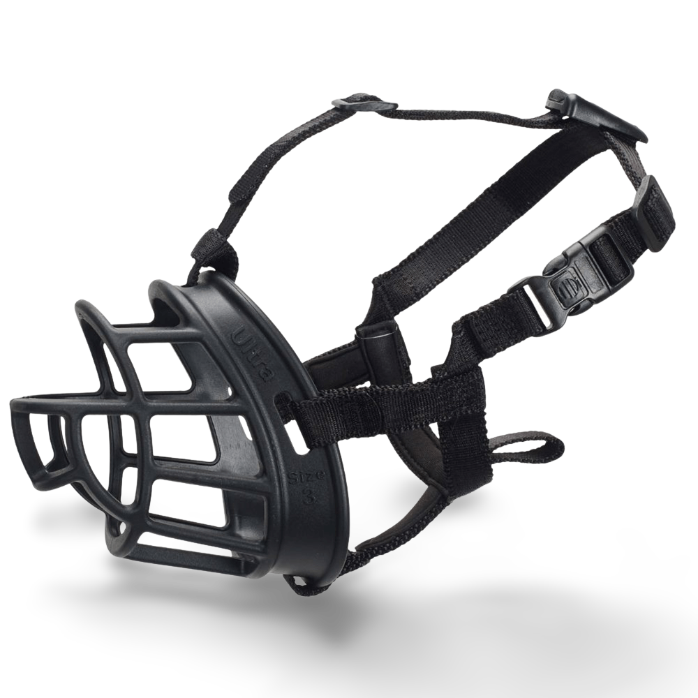 shih tzu muzzle petco