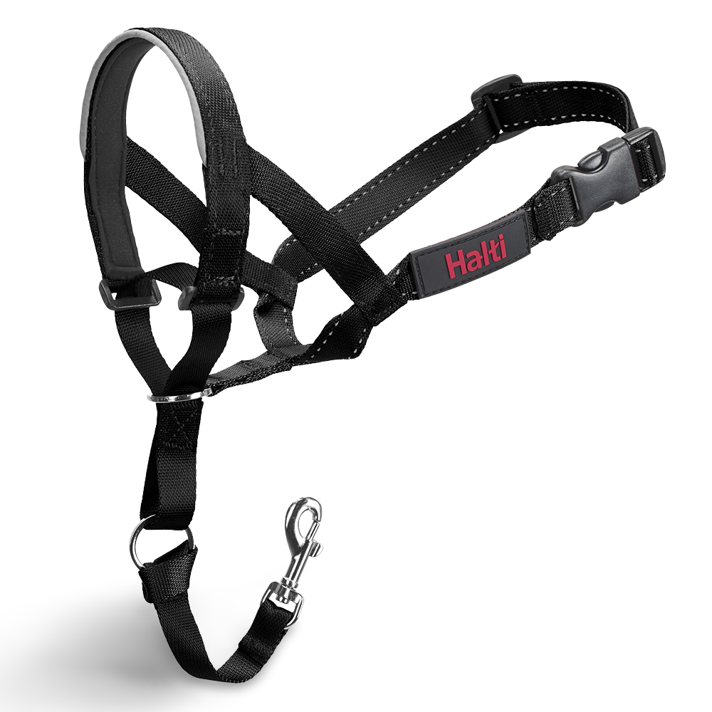 k9 headcollar